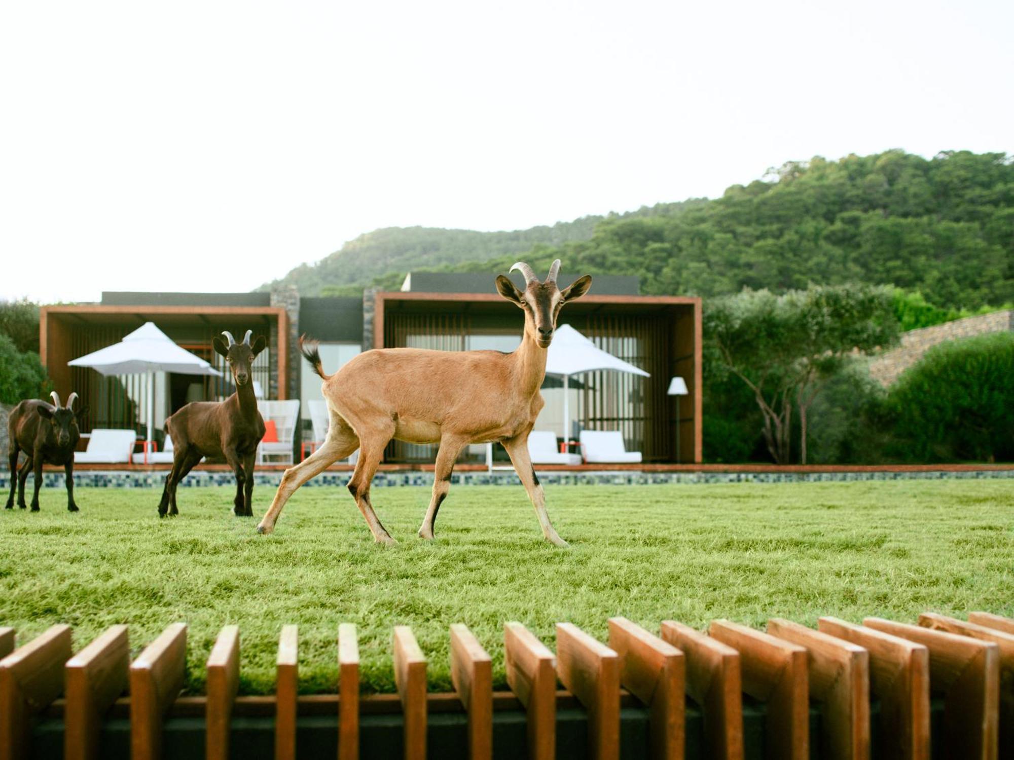 Maxx Royal Kemer Resort Dış mekan fotoğraf